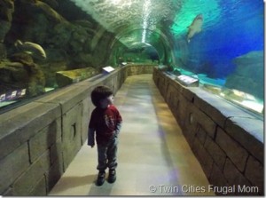Aquarium mall of america coupons