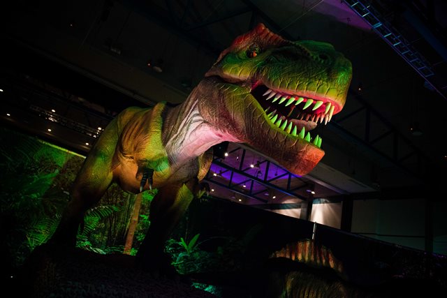Discover the dinosaurs coupon code