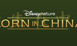 Free Advance Screening of Disney Nature: Born in China on April 18 in Roseville (& Free Activity Packet)