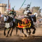 Discount Minnesota Renaissance Festival Tickets 2017