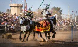 Discount Minnesota Renaissance Festival Tickets 2017