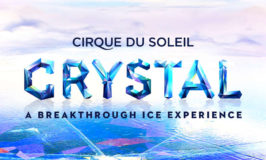 Discount Tickets for Cirque du Soleil, Minnesota Twins, & Minnesota Vikings Preseason Football