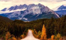 4 Creative and Budget-Friendly Fall Travel Tips
