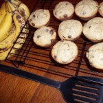 Banana Chocolate Chip Muffins