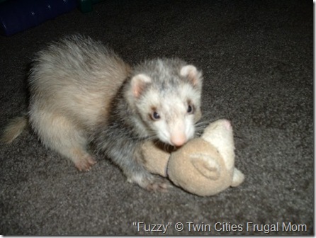 Fuzzy