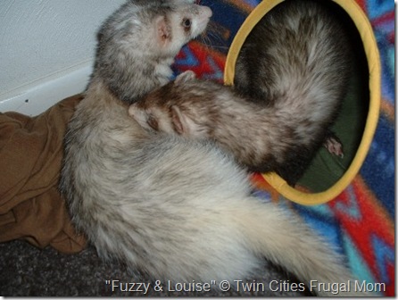 FuzzyandLouise