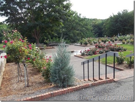 arboretum6