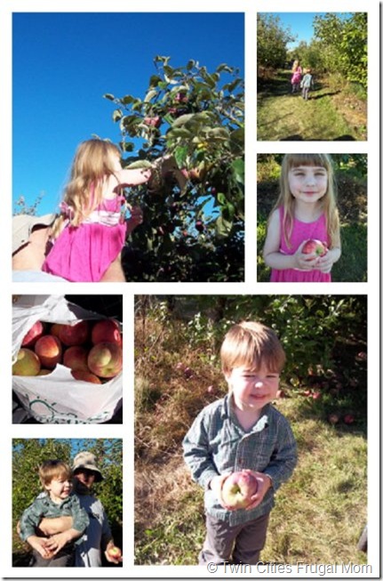 pleasantvalleycollage1web