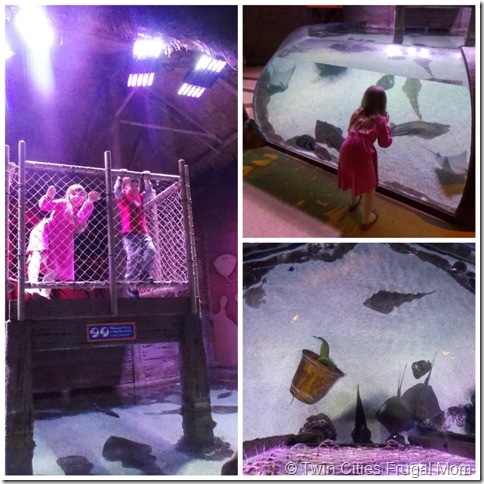 SeaLifeCollage2