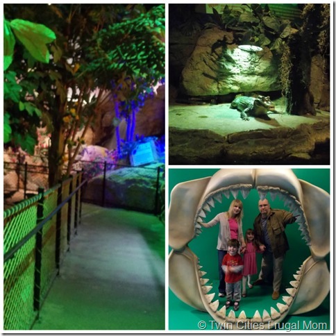 SeaLifeCollage4