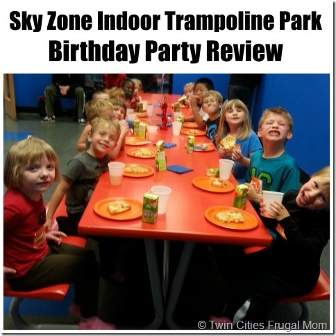 skyzonebirthdaycover