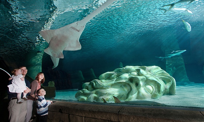 sea life