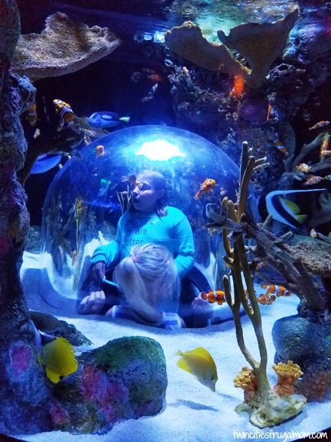 Sea Life Mall of America window