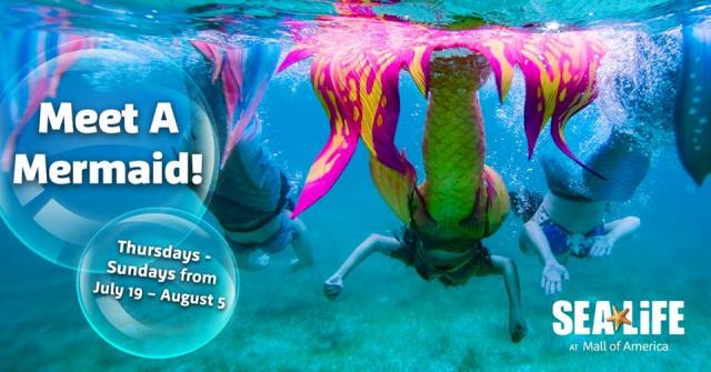 Sea Life Mall of America Memaids