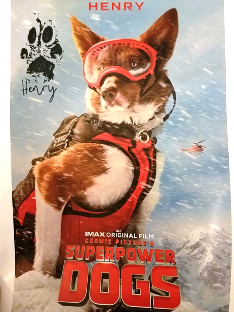 Superpower Dogs