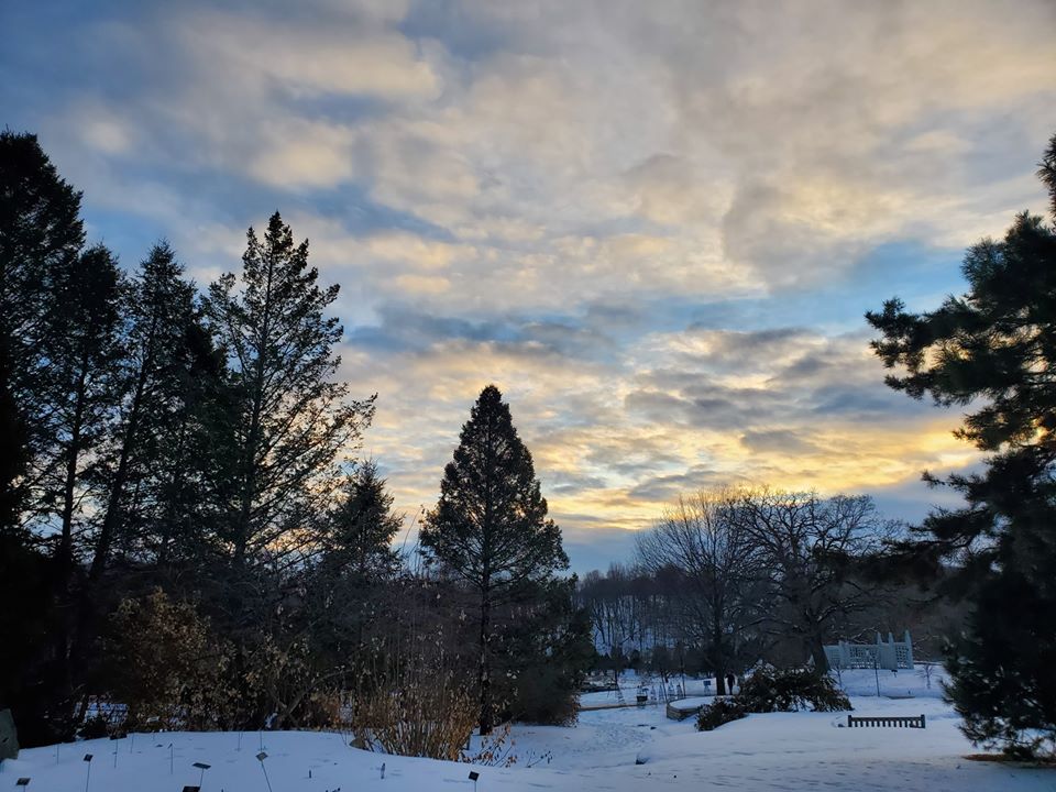 Minnesota Landscape Arboretum in January