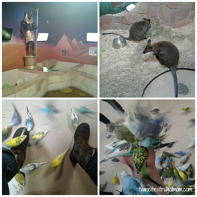 Seaquest animals