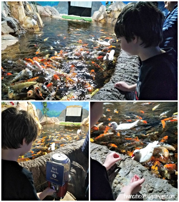 SeaQuest Roseville