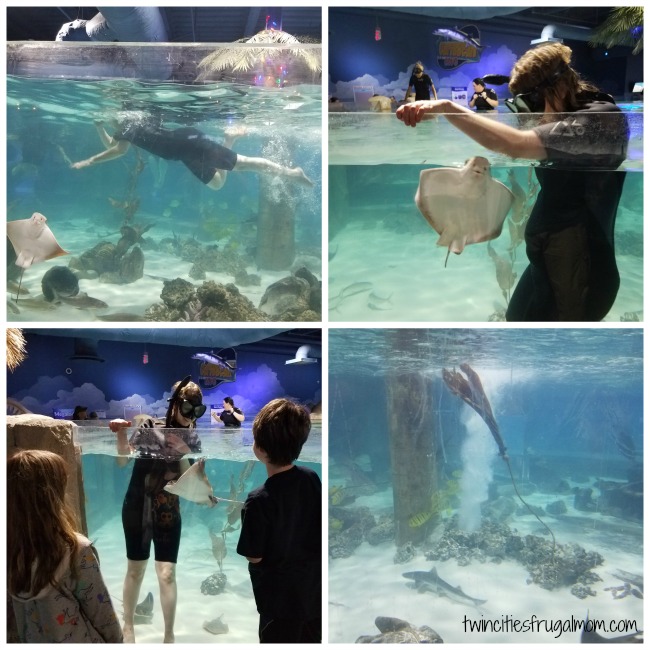 Seaquest Roseville Snorkeling