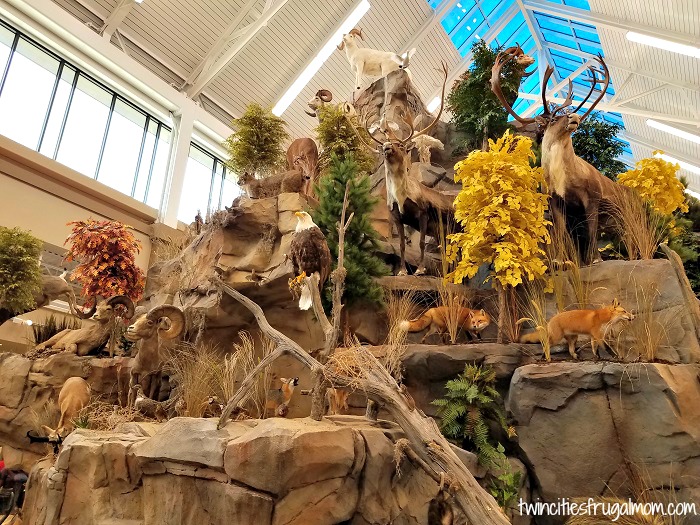Scheels mountain