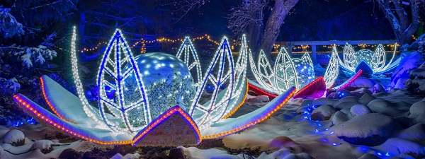 Winter Lights Arboretum