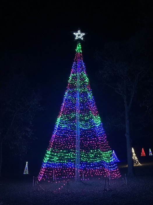 Celebrate the Light