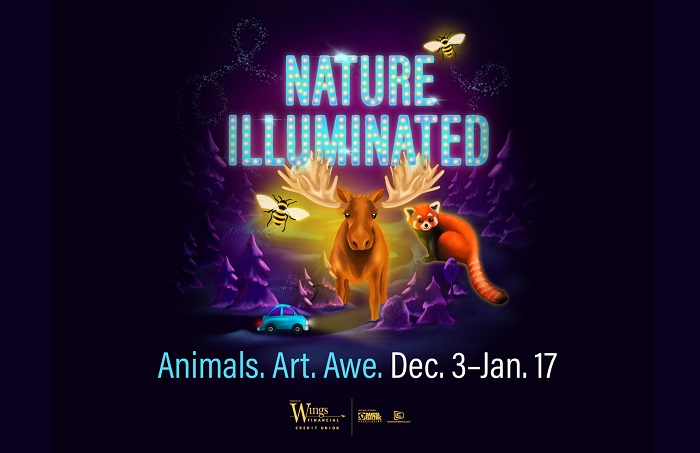 Nature Illuminated