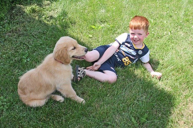 Puppy Kid