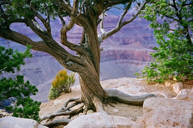 Grand Canyon