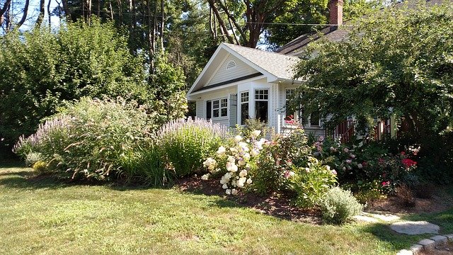 house flowers