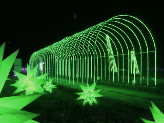 Sever's Fall Lights