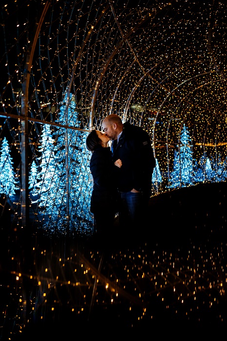 glow holiday lights