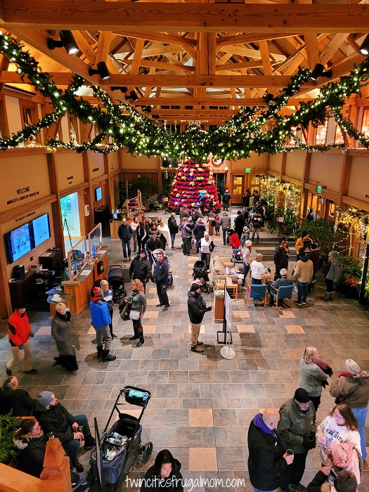 winter lights arboretum interior