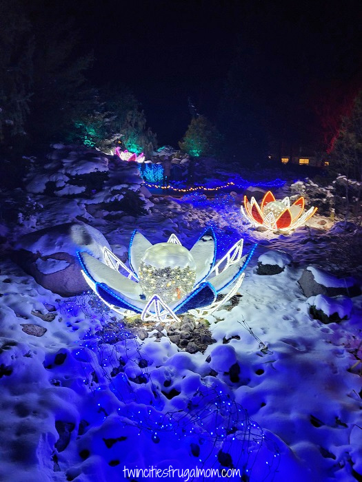 winter lights flowers
